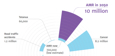 amr neill p14 160518 - copie