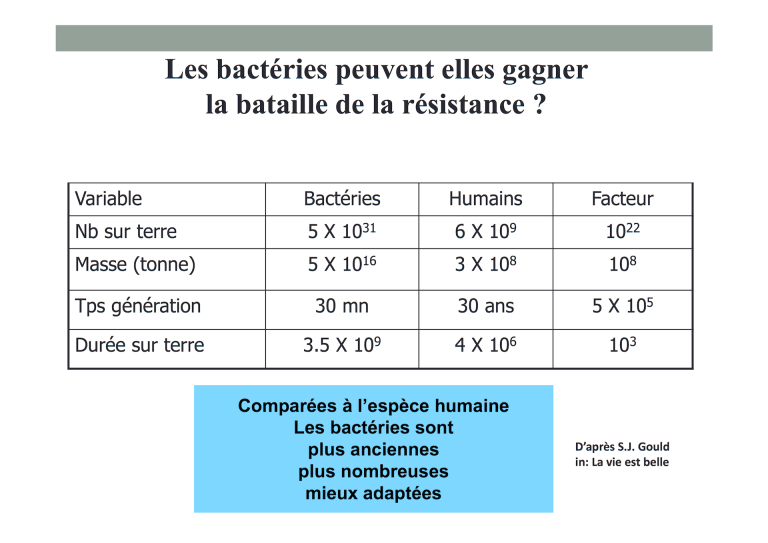 Pulcini bact versus humains