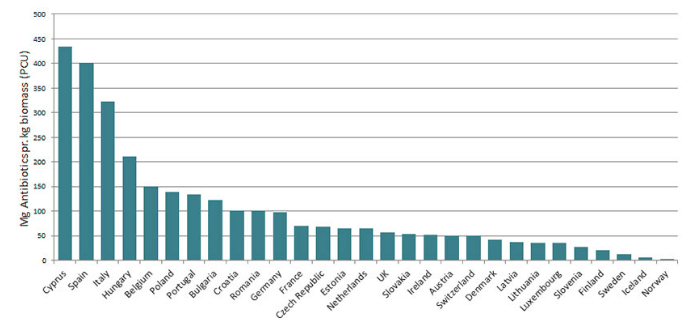 consommation antibiotiques